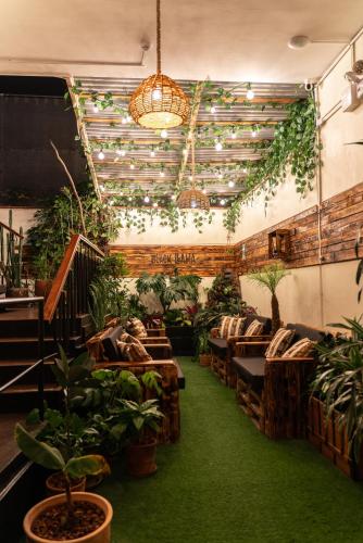 a restaurant with chairs and plants in a room at Black Llama Hostel Miraflores in Lima