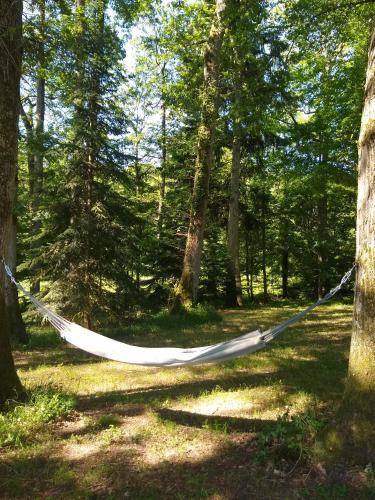a hammock hanging between two trees in a forest at Domaine de la Vaudourière in Lunay