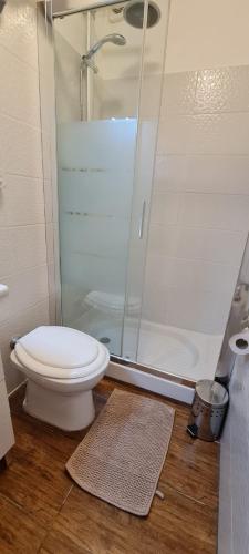 a bathroom with a toilet and a shower at Soggiorno dell Agnolo in Florence