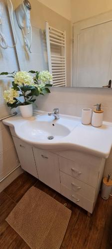a bathroom with a white sink and a mirror at Soggiorno dell Agnolo in Florence