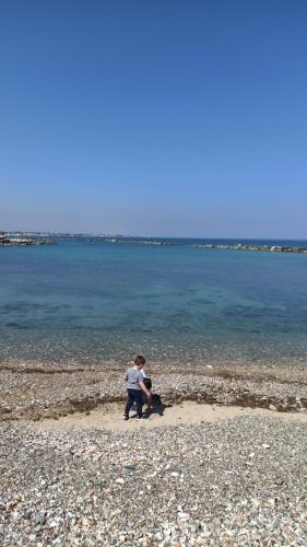 Foto dalla galleria di Pharos a Bari