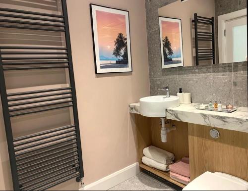 a bathroom with a sink and a toilet and a mirror at Apartment, Kilkenny City in Kilkenny