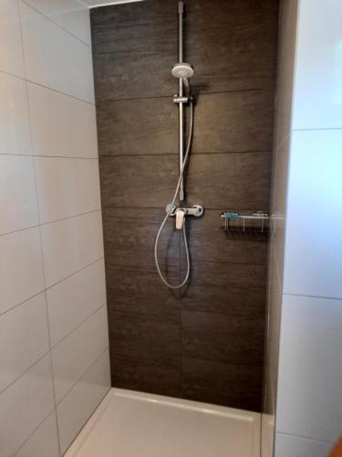 y baño con ducha con cabezal de ducha. en Ferienhaus auf dem Lusitanohof Jäger, en Fürth