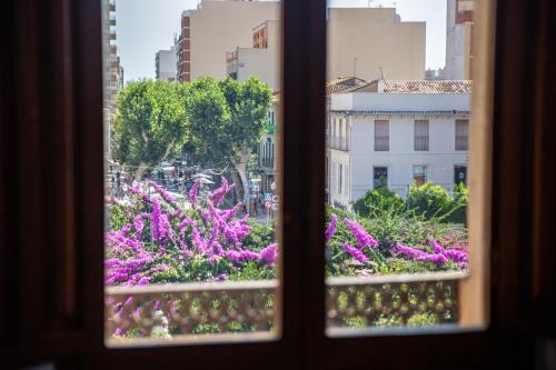 Κήπος έξω από το Glorieta Suites
