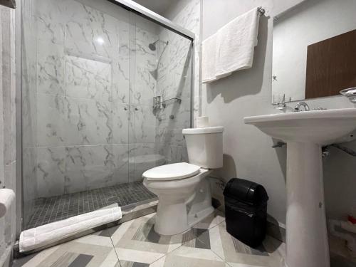 La salle de bains est pourvue de toilettes, d'une douche et d'un lavabo. dans l'établissement Hotel Town Express, à Durango