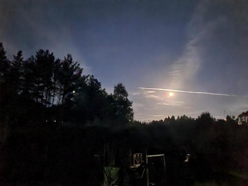 a jet trail in the sky over a forest at Cabaña Refugio Sauna Spa El Arrayan Casablanca Valdivia in Valdivia