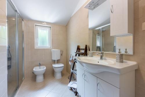 a bathroom with a sink and a toilet and a shower at Villa ARIA VALLIS in Tribalj