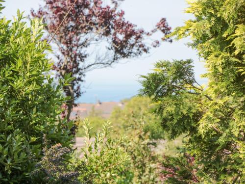 Fotografie z fotogalerie ubytování Skylark v destinaci Weymouth
