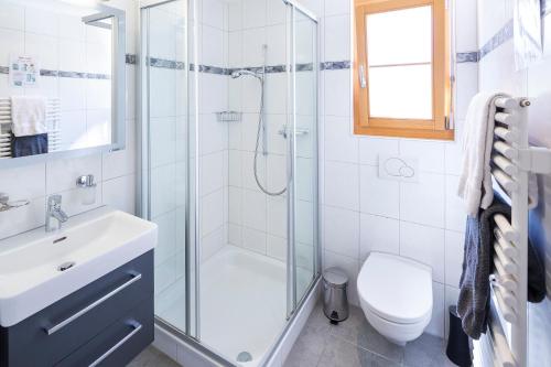 グリンデルワルトにあるChalet Pfingsteggblickのバスルーム(シャワー、トイレ、シンク付)