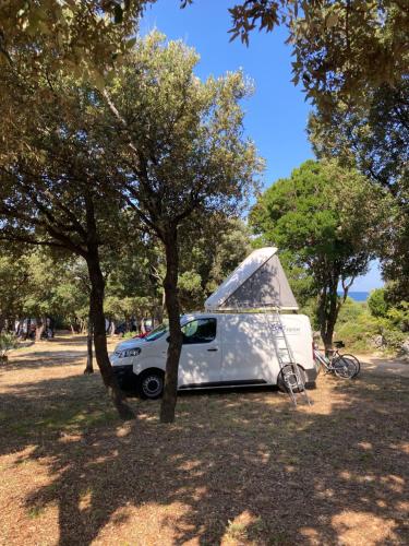 a white car parked next to a tree at Camping Sugar in Mandre