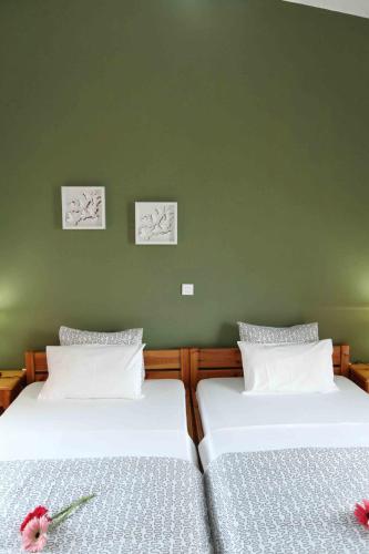 two twin beds in a bedroom with green walls at Sofia Apartments - Kantia in Kandia