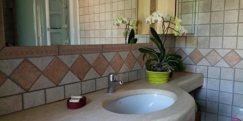La salle de bains est pourvue d'un lavabo en pot et d'un miroir. dans l'établissement La Casetta sul Camposcuola, à Teramo