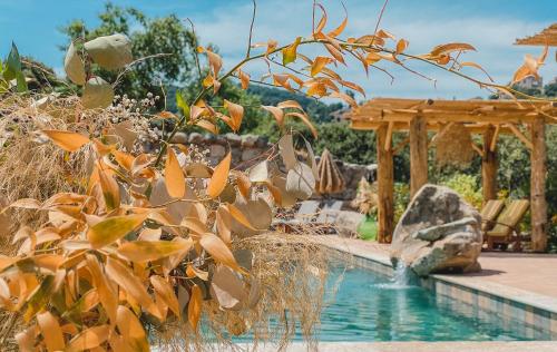 Kolam renang di atau dekat dengan Résidence de Luxe 4 étoiles à Pietralba, 4 logements piscine chauffée BALAGNE