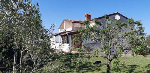 Apartments Bellavista