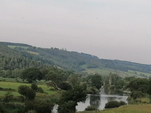 a river in the middle of a field with trees at Cable Island Bed and Breakfast in Cork