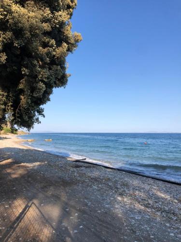 Φυσικό τοπίο κοντά σε αυτή η παραθεριστική κατοικία