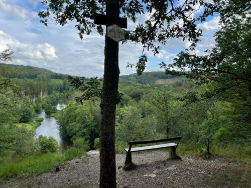 a bench sitting next to a tree next to a river at Gîte La Semois in Chiny