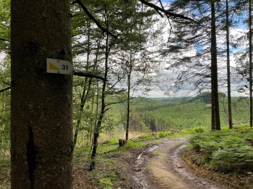 a dirt road in a forest with a sign on a tree at Gîte La Semois in Chiny