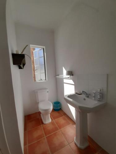 a bathroom with a white toilet and a sink at Snug Cottage in Nieu-Bethesda