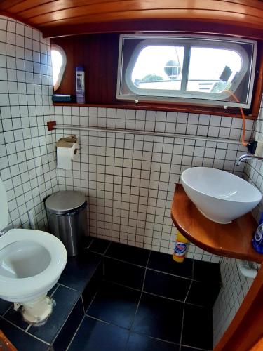 a small bathroom with a toilet and a sink at Motor Yacht Amstelle in Amsterdam