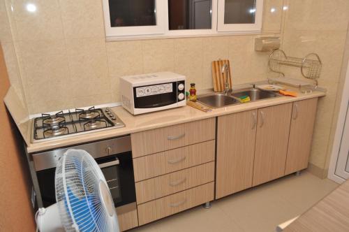 a kitchen with a stove and a sink and a microwave at Casa Daniel Borbel in Saturn