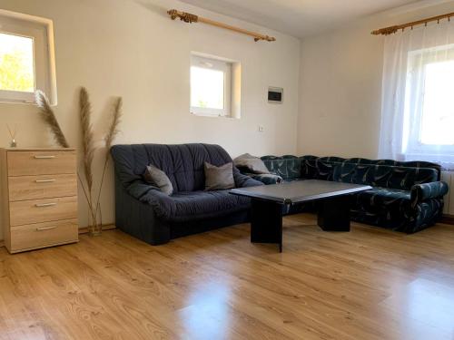 Foto dalla galleria di Bieszczadzki dom nad stawem a Ropienka