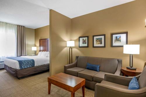 Postel nebo postele na pokoji v ubytování Comfort Inn & Suites Lynchburg Airport - University Area