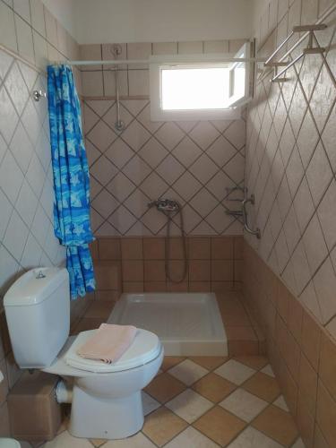 a bathroom with a toilet and a shower and a tub at Villa Avli in Parga