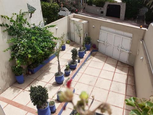 Giardino di Villa Majorelle City Center