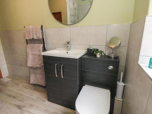 ein Badezimmer mit Toilette, Waschbecken und Spiegel in der Unterkunft Ascot Cottage in York
