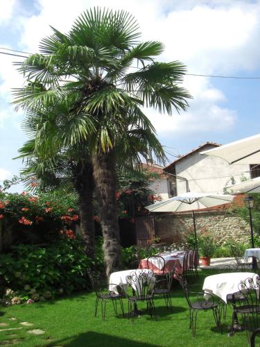 a palm tree with tables and chairs in a yard at La Corte del Barbio in Aramengo