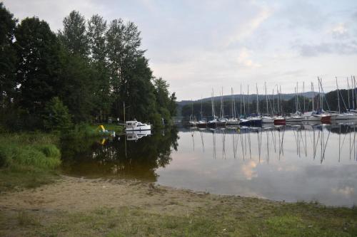 a group of boats are docked on a lake at Ubytování Hanka v pokoji s bakónem C408 in Frymburk