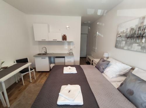 a small room with a bed and a kitchen at Penzion Wellness Chechluvka in Dolní Tošanovice