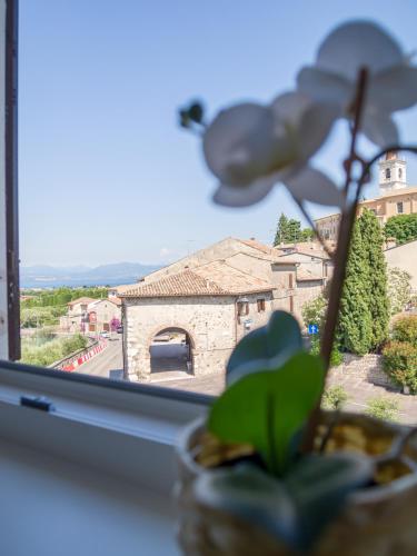 Yourbanflat Garda Lake View