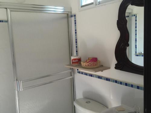 a bathroom with a toilet and a mirror at Casa Bella-suit in Ciudadela Costa de Oro