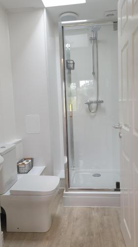 a white bathroom with a shower and a toilet at The Nook B&B in Port Isaac