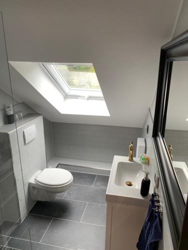 a bathroom with a toilet and a sink and a skylight at Stayhome Tossens in Butjadingen