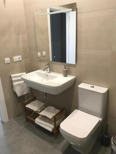a bathroom with a sink and a toilet and a mirror at Apartamentos Ad Theatrum in Merida