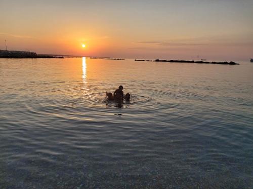 Foto dalla galleria di Pharos a Bari
