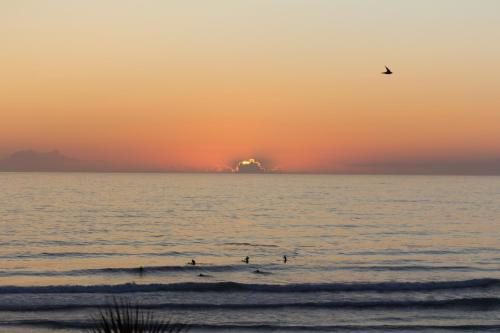 a bird flying over the ocean at sunset at GOLD SUITE T2-PRAIA DO FURADOURO in Ovar