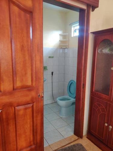 a bathroom with a toilet and a wooden door at Bob Apartments in Calodyne