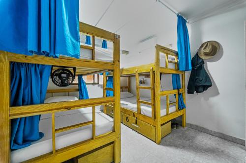 a room with bunk beds in a hostel at Hostal Palo Alto in San Andrés