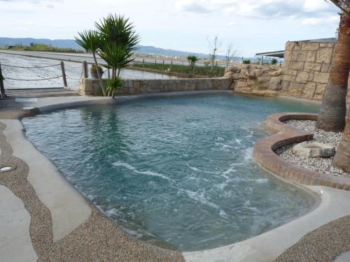 una piscina con spa y palmeras en Masia Tinet en Deltebre