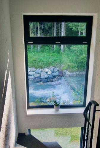 a window with a potted plant on a window sill at Mountain Hostel City in Oberstdorf