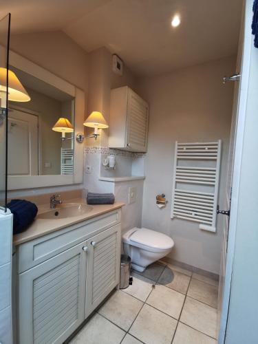 une salle de bain avec toilettes, lavabo et miroir dans l'établissement Lac Annecy plage privée, Duplex Baie des voiles, à Duingt