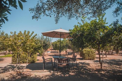 a table with an umbrella and chairs under trees at Hotel Castillo Ferrer in Valle de Guadalupe