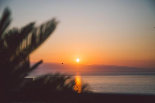 a sunset over the ocean with a palm tree at Taormina Palace Hotel in Taormina
