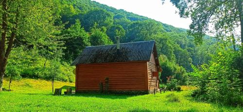 a wooden cabin in a field with a mountain at Еко Садиба Під Полониною in Sasivka