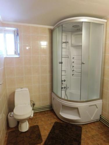 a bathroom with a white toilet and a shower at Glanz Cottage in Yaremche