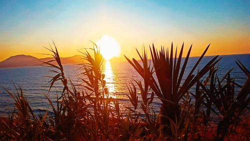 Paesaggio naturale nelle vicinanze dell'appartamento